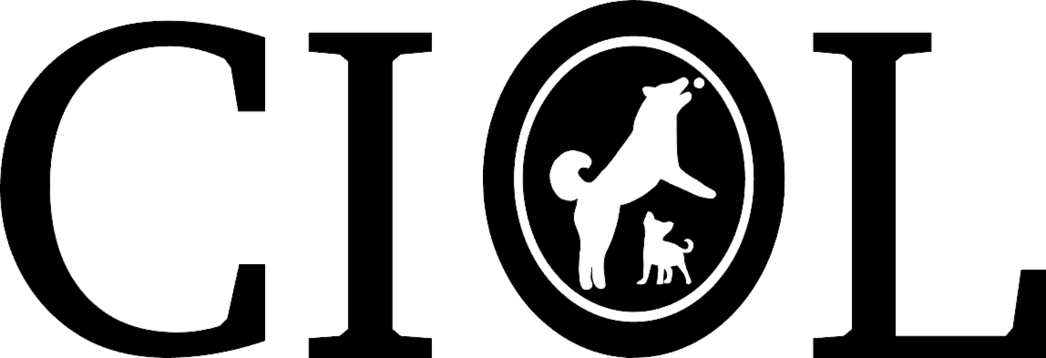 CIOL